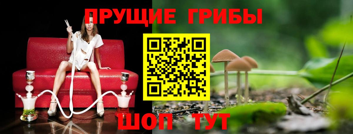 Псилоцибиновые грибы Psilocybe  Псилоцибиновые грибы мухоморы  Дюртюли  Вход с VPN 
